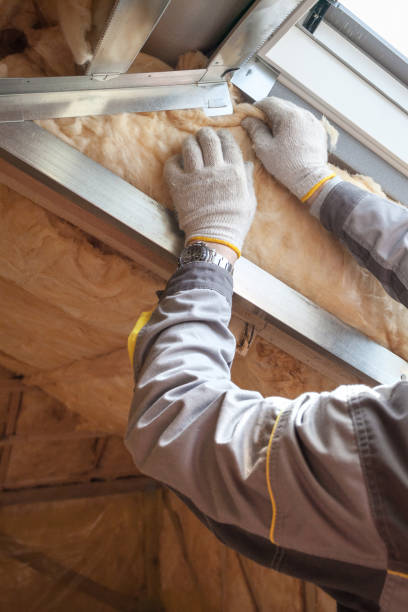Best Best Insulation Companies  in Archer City, TX