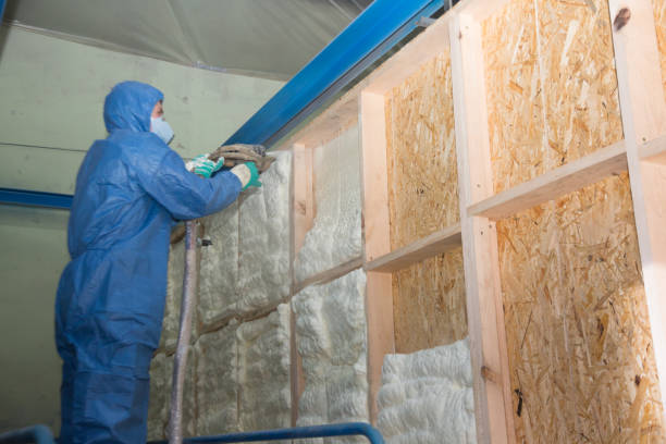 Best Fiberglass Insulation  in Archer City, TX